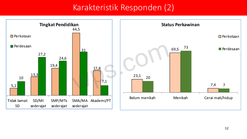 HASIL PENELITIAN PENYALAHGUNA NARKOTIKA TAHUN 2019