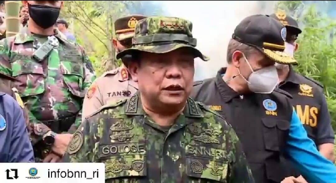 Repost BNN RI ” Kepala BNN RI Pimpin Pemusnahan 9 Hektar Ladang Ganja di Aceh Utara”.