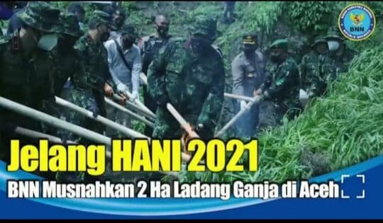 KEPALA BNN RI PIMPIN PEMUSNAHAN LADANG GANJA DI ACEH