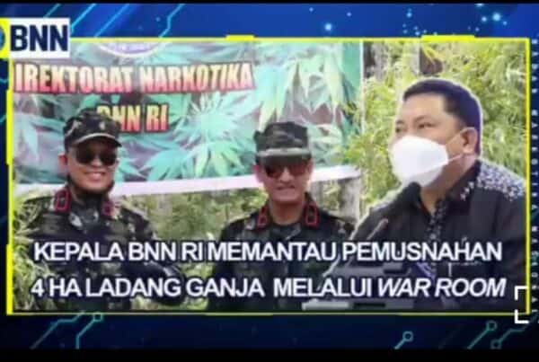 REPOST BNN RI – KEPALA BNN RI PANTAU LANGSUNG PEMUSNAHAN GANJA LIVE DARI “WAR ROOM”