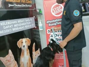 Cek Up Kesehatan K-9 BNNP Sulawesi Selatan Cek Up Kesehatan K-9 BNNP Sulawesi Selatan