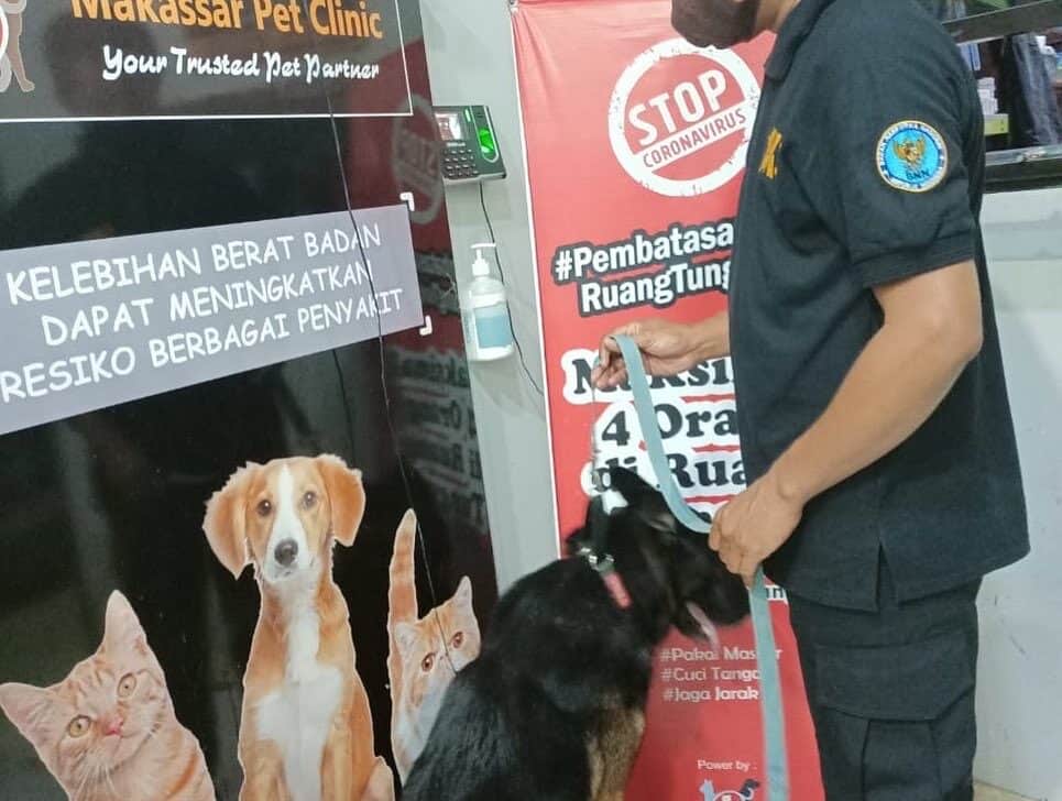 Cek Up Kesehatan K-9 BNNP Sulawesi Selatan Cek Up Kesehatan K-9 BNNP Sulawesi Selatan
