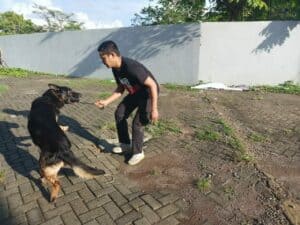 LATIHAN PENDETEKSIAN BULAN NOVEMBER TAHUN 2021 LATIHAN PENDETEKSIAN BULAN NOVEMBER TAHUN 2021