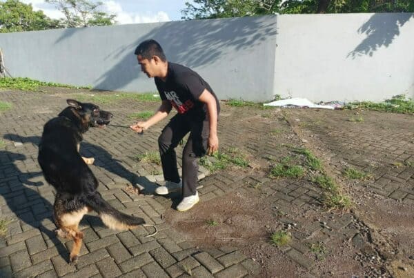 LATIHAN PENDETEKSIAN BULAN NOVEMBER TAHUN 2021