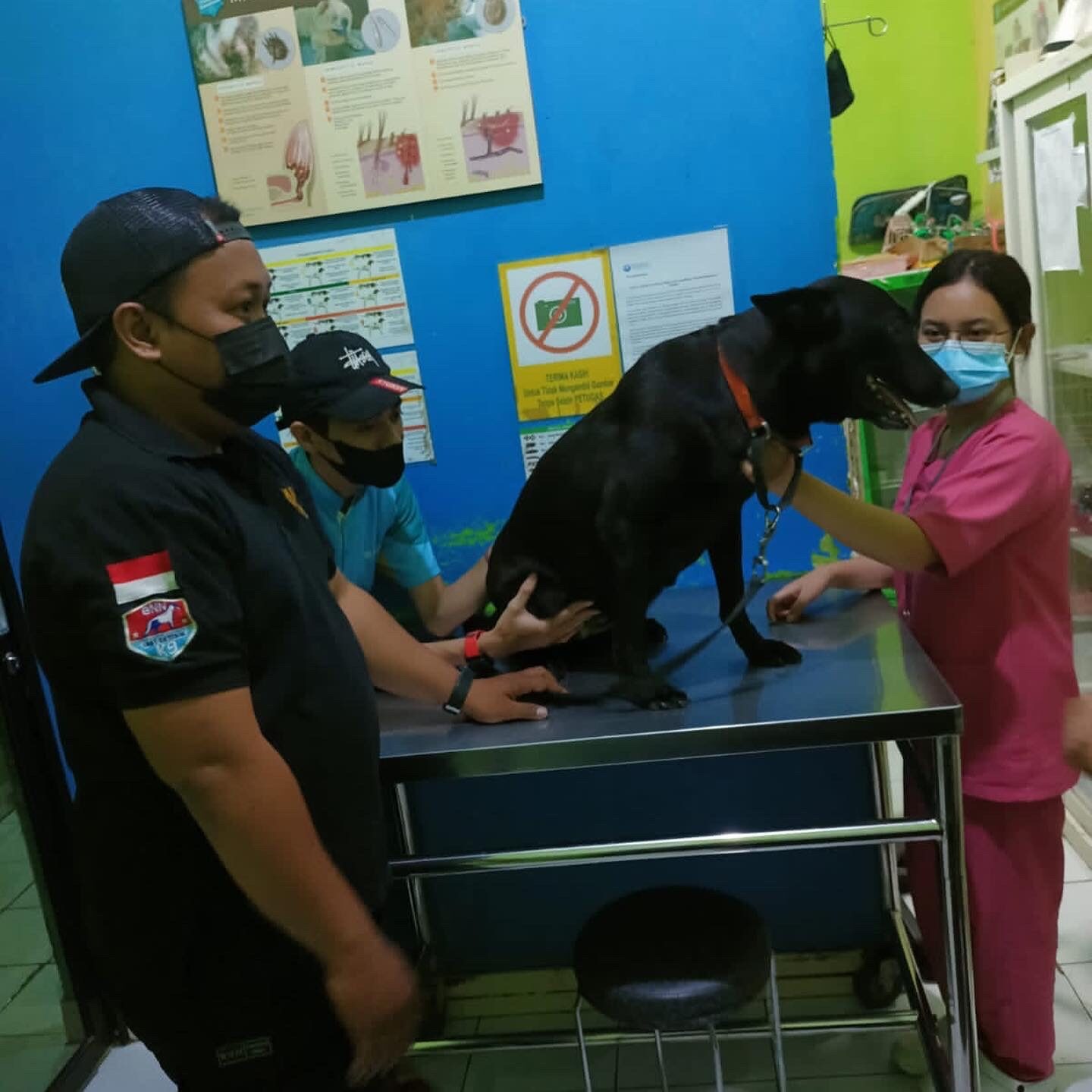 VAKSINASI Satwa K-9 Ben dan Satwa K-9 Kani Bulan Februari tahun 2022