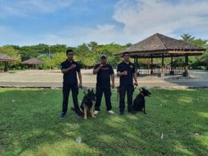 LATIHAN PENDETEKSIAN K9 BNNP SULSEL BULAN MEI TAHUN 2022 LATIHAN PENDETEKSIAN K9 BNNP SULSEL BULAN MEI TAHUN 2022