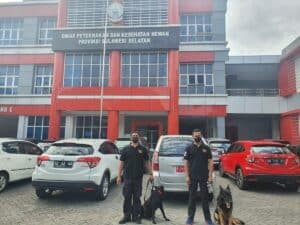 Cek-Up Kesehatan Satwa K-9 Ben dan Satwa K-9 Kani Bulan Mei Tahun 2022 Cek-Up Kesehatan Satwa K-9 Ben dan Satwa K-9 Kani Bulan Mei Tahun 2022