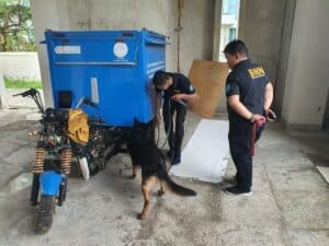 LATIHAN PENDETEKSIAN K9 BNNP SULSEL BULAN MEI TAHUN 2022 LATIHAN PENDETEKSIAN K9 BNNP SULSEL BULAN MEI TAHUN 2022