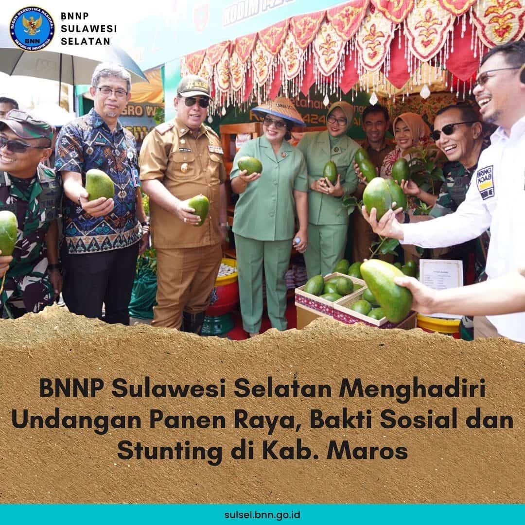 BNNP Sulawesi Selatan Menghadiri Undangan Panen Raya, Bakti Sosial dan Stunting di Kab. Maros