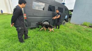 Konsep Otomatis