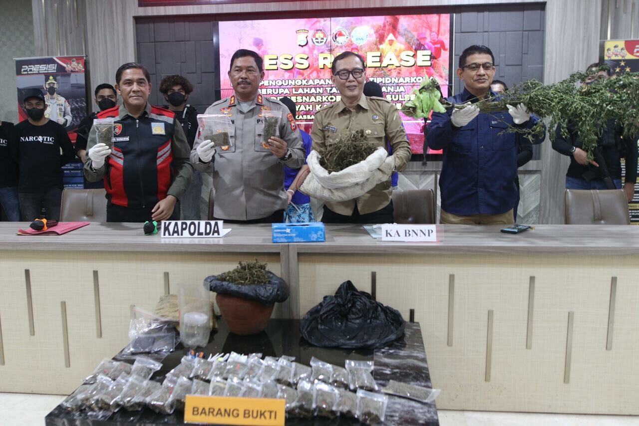 Kepala BNNP Sulawesi Selatan Bersama Kapolda Sulsel Merilis Pengungkapan Tipidnarkoba Berupa Lahan Tanaman Ganja oleh Ditresnarkoba Polda Sulsel di wilayah Kabupaten Bone Kepala BNNP Sulawesi Selatan Bersama Kapolda Sulsel Merilis Pengungkapan Tipidnarkoba Berupa Lahan Tanaman Ganja oleh Ditresnarkoba Polda Sulsel di wilayah Kabupaten Bone
