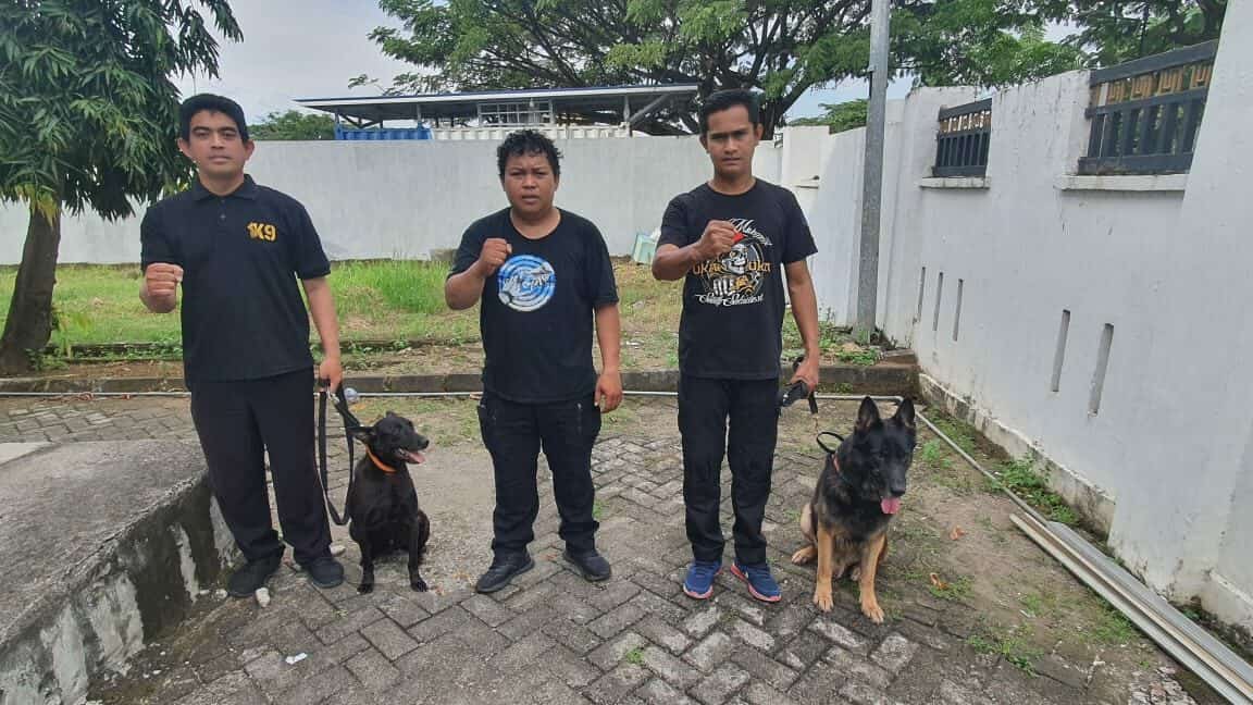 Unit K-9 BNNP SULSEL Melaksanakan Latihan Pendeteksian Bulan April Unit K-9 BNNP SULSEL Melaksanakan Latihan Pendeteksian Bulan April