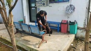 Unit K-9 BNNP SULSEL Melaksanakan Latihan Pendeteksian Bulan April Unit K-9 BNNP SULSEL Melaksanakan Latihan Pendeteksian Bulan April
