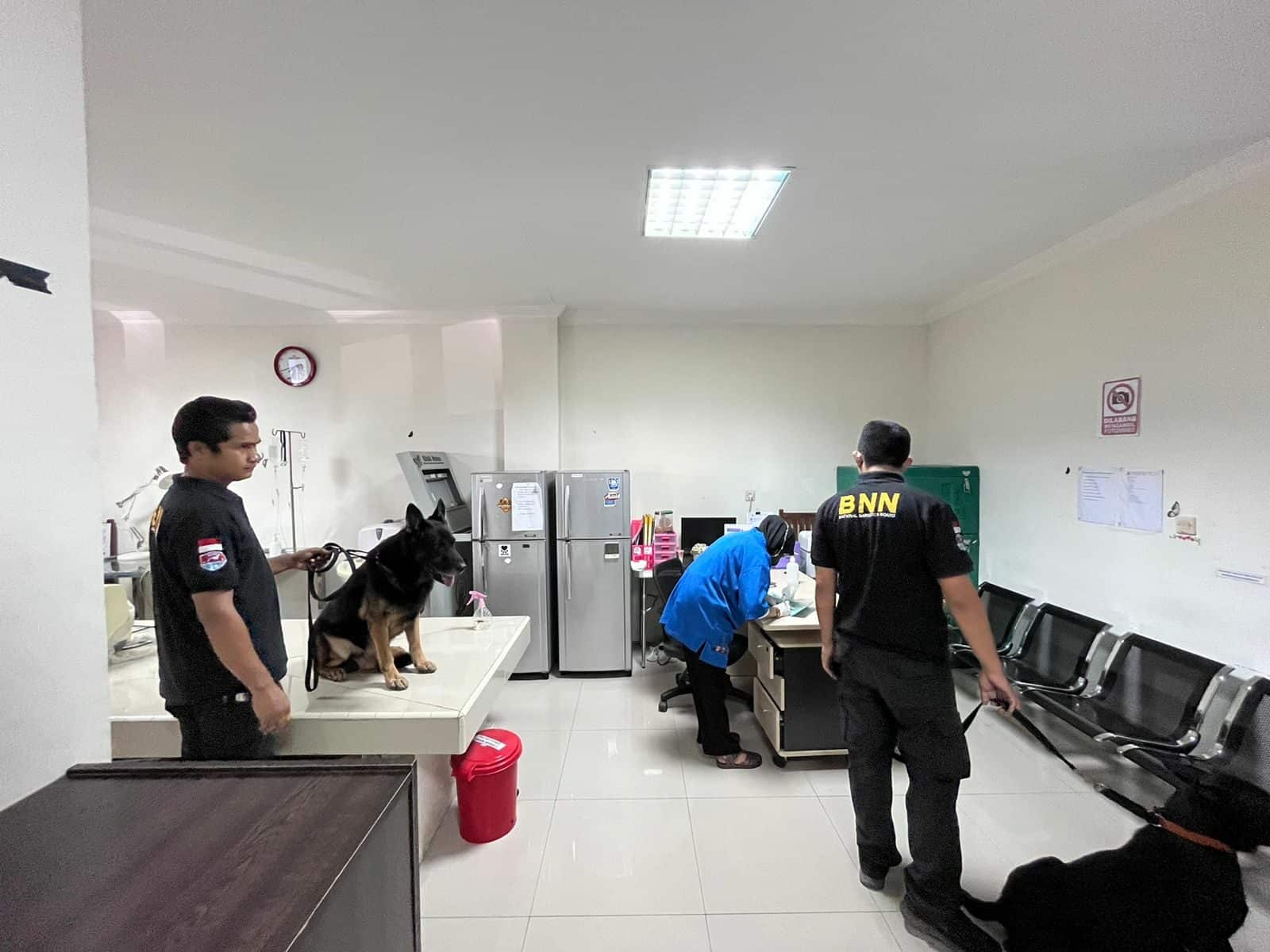 Cek-Up Kesehatan Satwa K-9 Ben dan Satwa K-9 Kani Bulan September Tahun 2023 Cek-Up Kesehatan Satwa K-9 Ben dan Satwa K-9 Kani Bulan September Tahun 2023