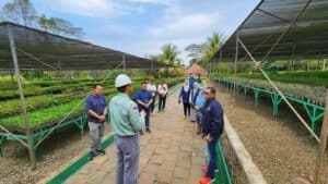 Sinergitas P4GN, BNNP Sulawesi Selatan Melakukan Penanaman Pohon Simbol Persahabatan Bersama PT.Vale Indonesia Sinergitas P4GN, BNNP Sulawesi Selatan Melakukan Penanaman Pohon Simbol Persahabatan Bersama PT.Vale Indonesia