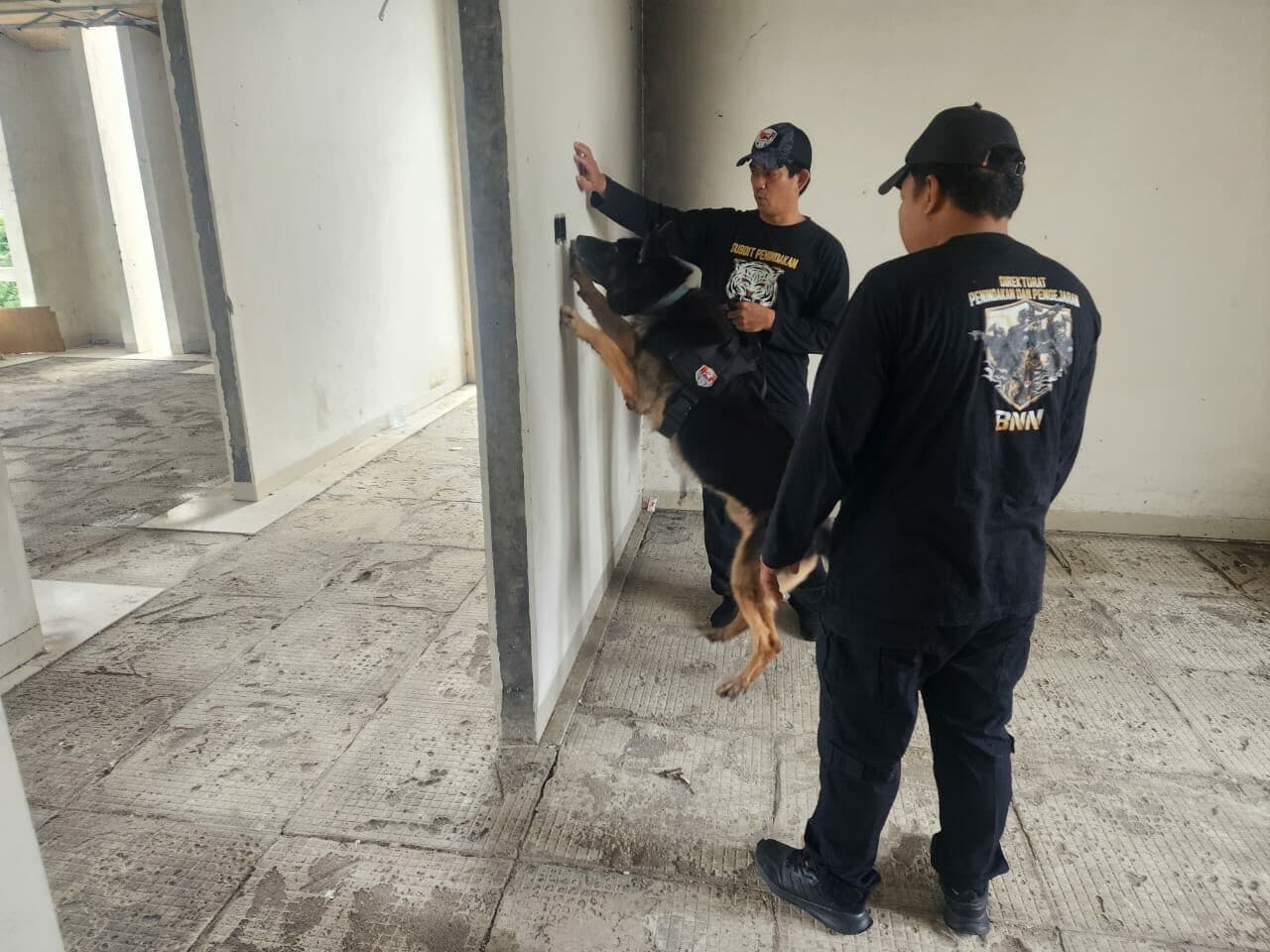 UNIT K-9 BNNP SULSEL LAKSANAKAN LATIHAN DETEKSI NARKOBA