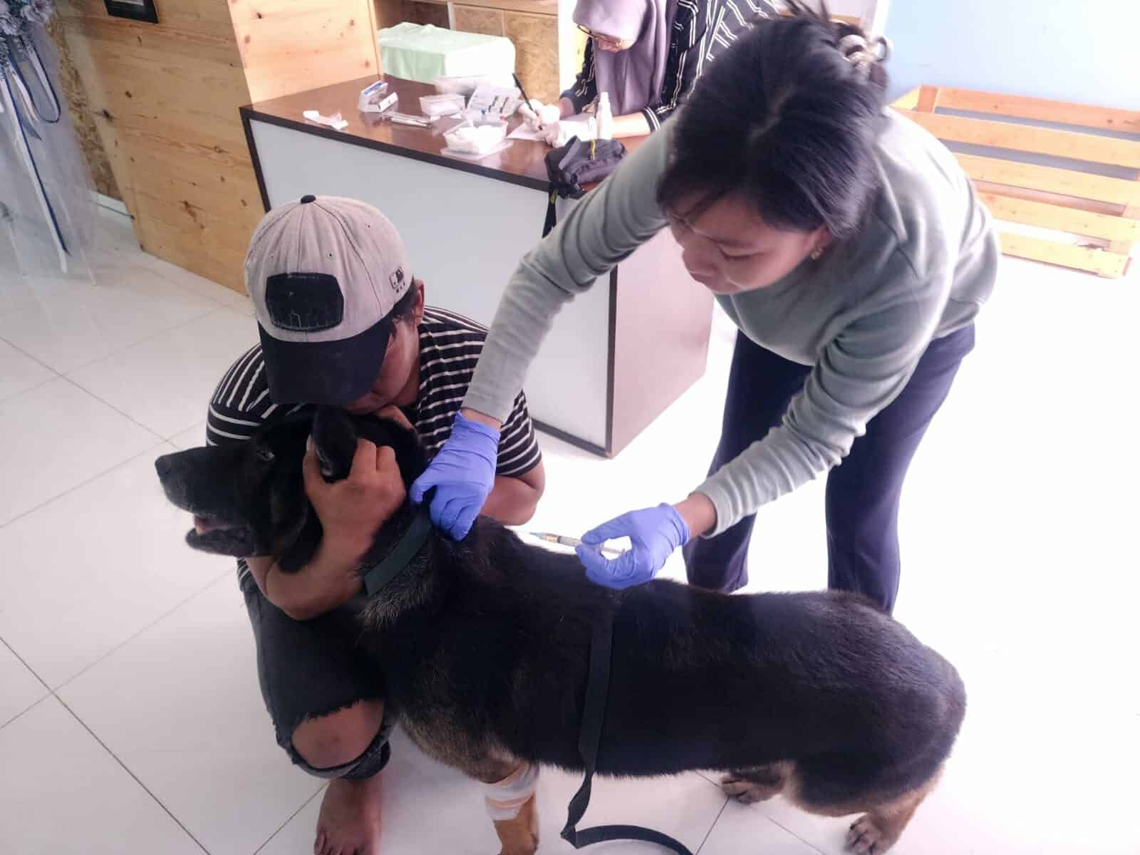 Vaksin Tahunan Satwa K9 Ben BNNP Sulsel