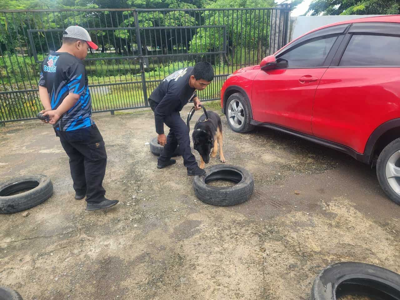 UNIT K-9 BNNP SULSEL, BEN MELAKSANAKAN LATIHAN PENDETEKSIAN DI BULAN MARET UNIT K-9 BNNP SULSEL, BEN MELAKSANAKAN LATIHAN PENDETEKSIAN DI BULAN MARET
