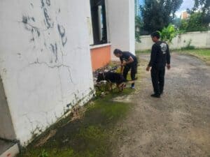 UNIT K-9 BNNP SULSEL, BEN MELAKSANAKAN LATIHAN PENDETEKSIAN DI BULAN MARET UNIT K-9 BNNP SULSEL, BEN MELAKSANAKAN LATIHAN PENDETEKSIAN DI BULAN MARET