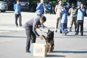 DEMI WUJUDKAN KAB. MAROS BERSINAR, KEPALA BNNP SULSEL BERSAMA BUPATI MAROS PERKUAT KERJASAMA MELALUI PENANDATANGANAN MoU