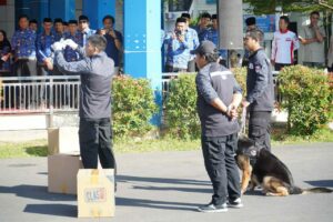 DEMI WUJUDKAN KAB. MAROS BERSINAR, KEPALA BNNP SULSEL BERSAMA BUPATI MAROS PERKUAT KERJASAMA MELALUI PENANDATANGANAN MoU