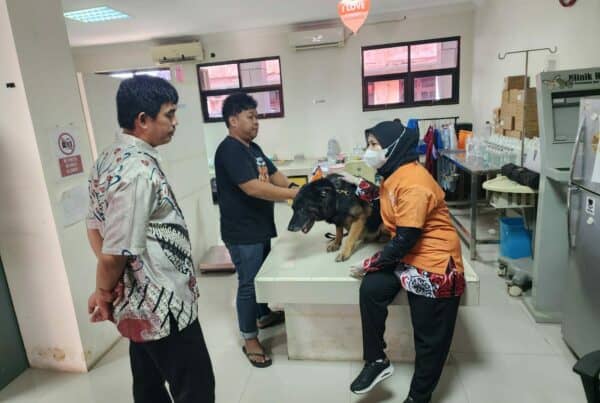 Check-Up Kesehatan Satwa K-9 Ben Tahun 2024