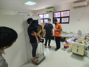 Check-Up Kesehatan Satwa K-9 Ben Tahun 2024 Check-Up Kesehatan Satwa K-9 Ben Tahun 2024