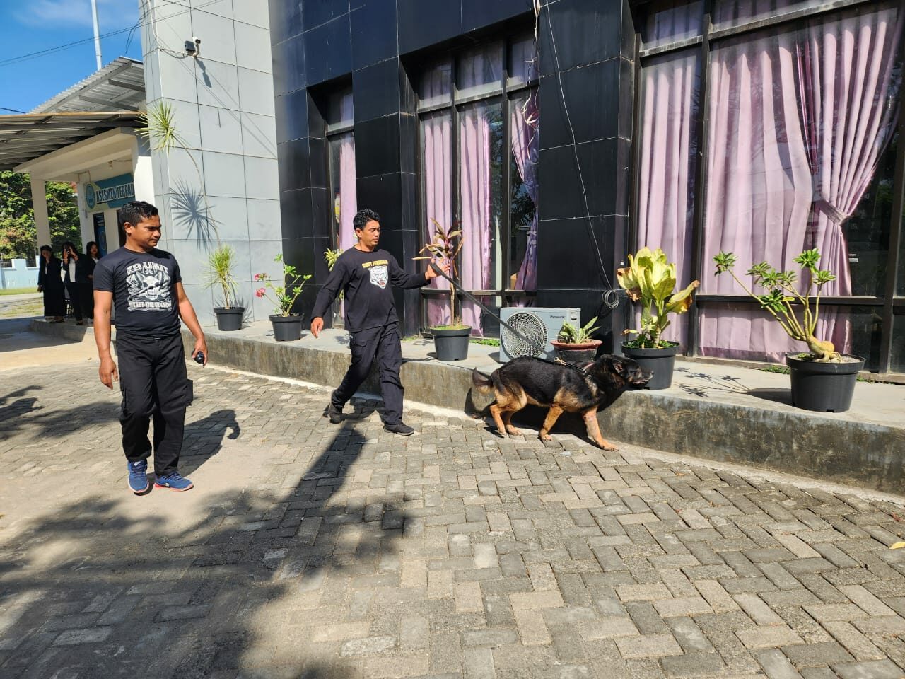 UNIT K-9 BNNP SULSEL ATAS NAMA BEN MELAKSANAKAN LATIHAN PENDETEKSIAN DI BULAN SEPTEMBER 2024