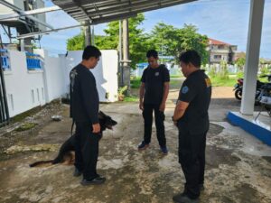 UNIT K-9 BNNP SULSEL MELAKSANAKAN LATIHAN PENDETEKSIAN PERIODE FEBRUARI 2025