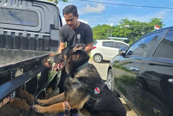 UNIT K-9 BNNP SULSEL ATAS NAMA BEN MELAKSANAKAN LATIHAN PENDETEKSIAN DI BULAN APRIL 2025