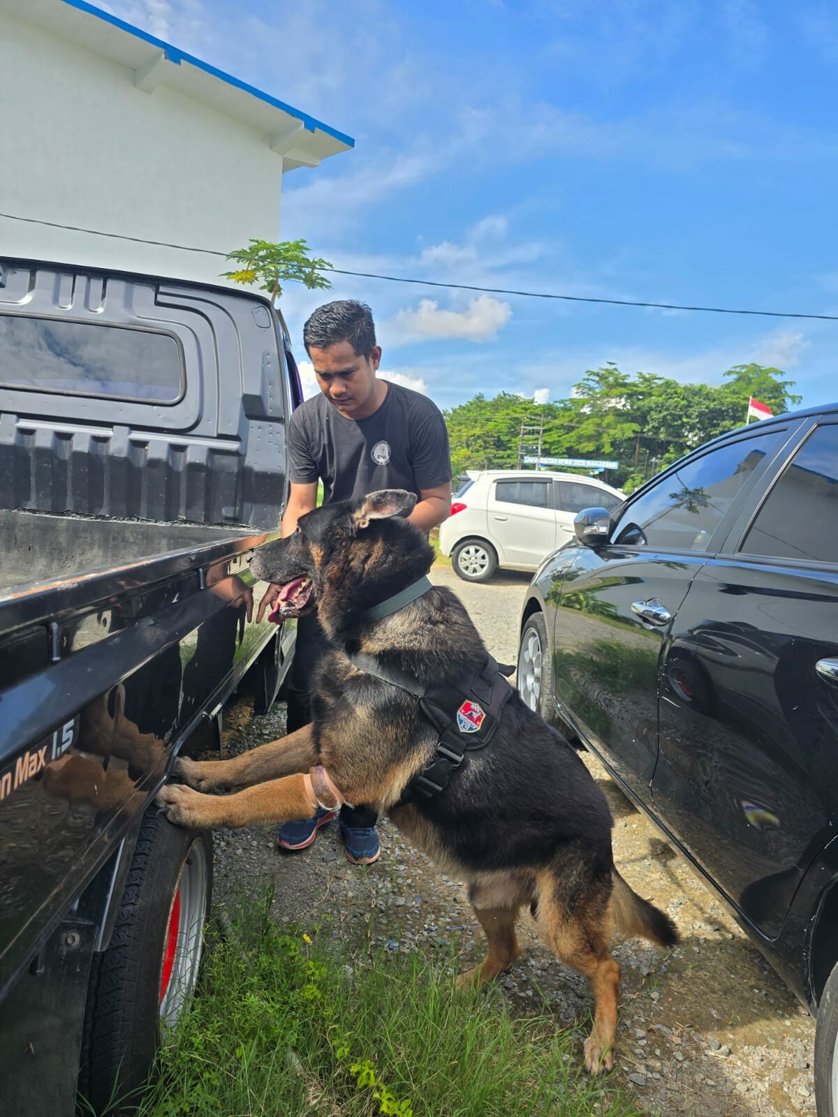 UNIT K-9 BNNP SULSEL ATAS NAMA BEN MELAKSANAKAN LATIHAN PENDETEKSIAN DI BULAN APRIL 2025